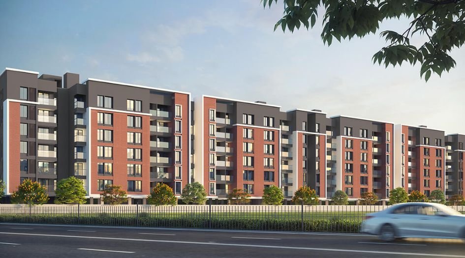 Grace-Pallacio-About-US