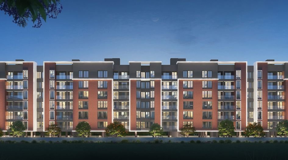 Grace-Pallacio-Banner-2